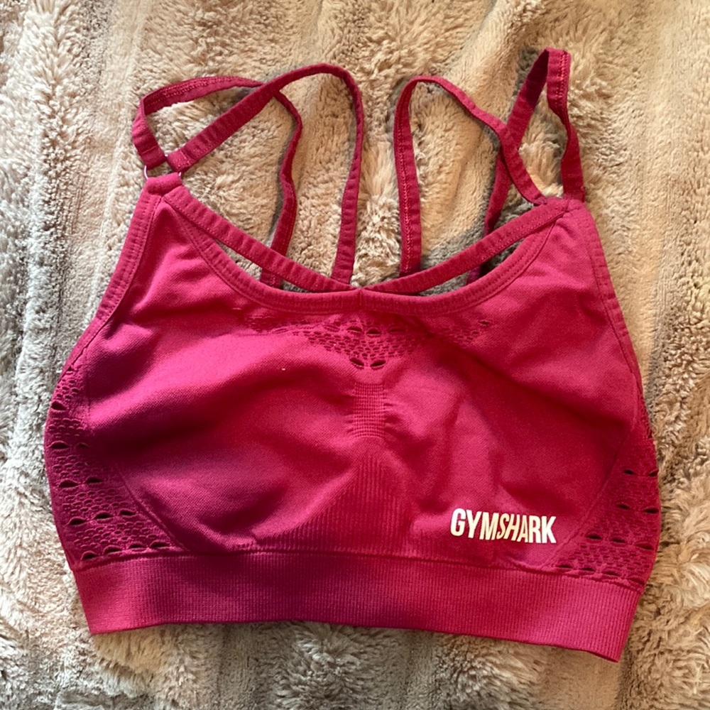 Small gym shark sports bra